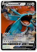 Salamence V - 143/189